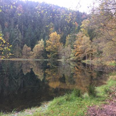 Couleurs d'automne du lac de la Maix