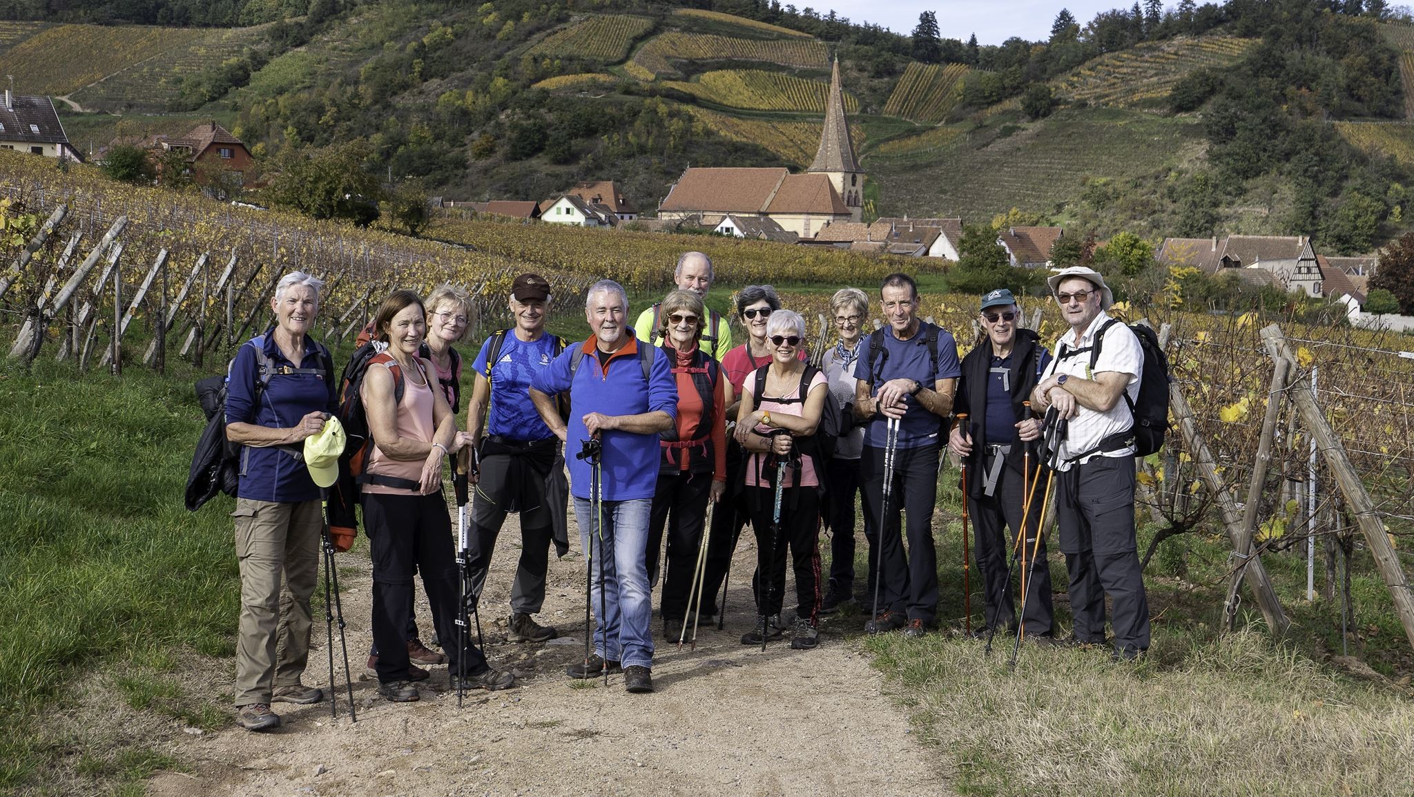 Dans les vignes