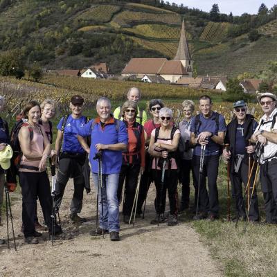 Dans les vignes