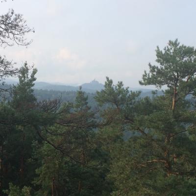 Le 20km de la Marche Populaire avec point de vue du Pfannenfels