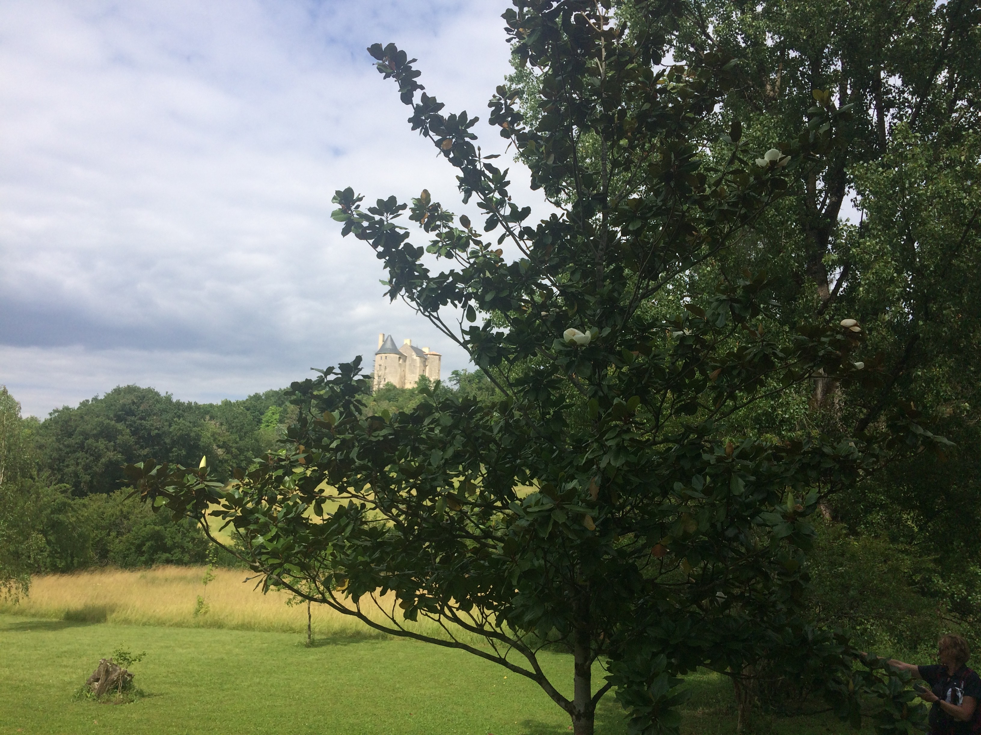 Le château de Buzet sur Baïse